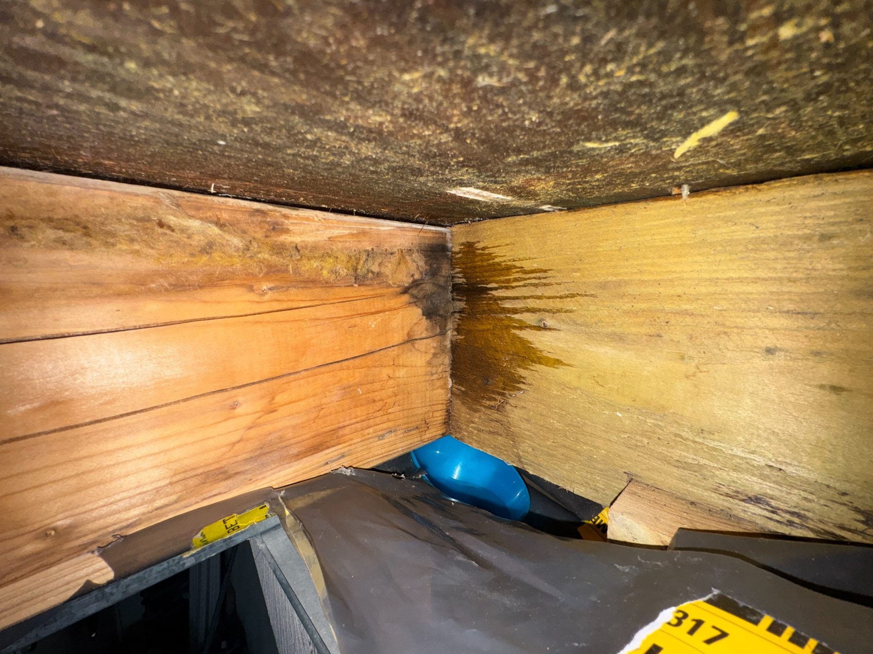 Feuchtespuren an der Holzkonstruktion